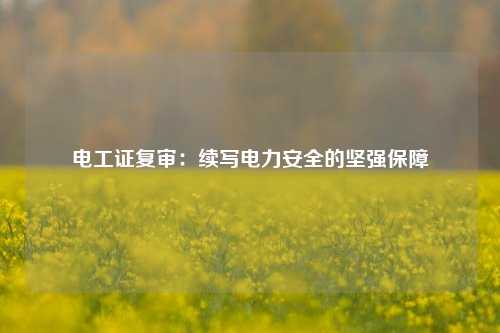 电工证复审：续写电力安全的坚强保障-图1